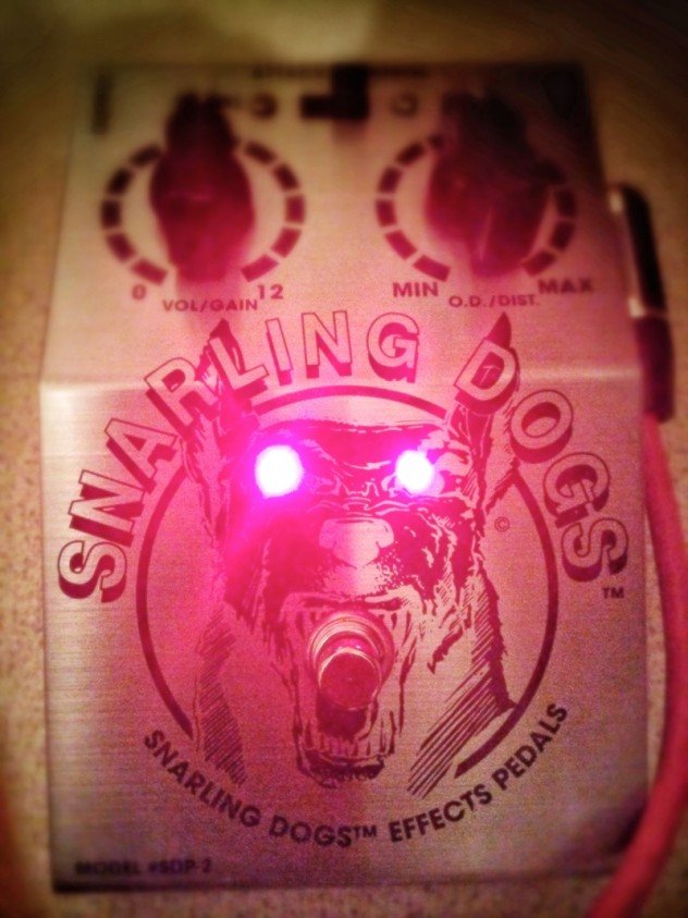 sdog1